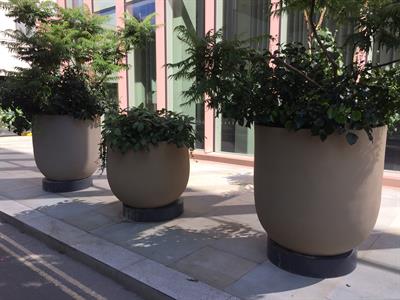 atrium-wss-2-kx-2017.jpg