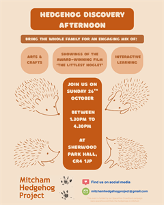 copy-of-hedgehog-discovery-afternoon-instagram-post-45.png