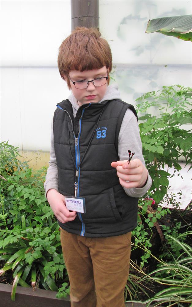 Butterfly House Victoria Park