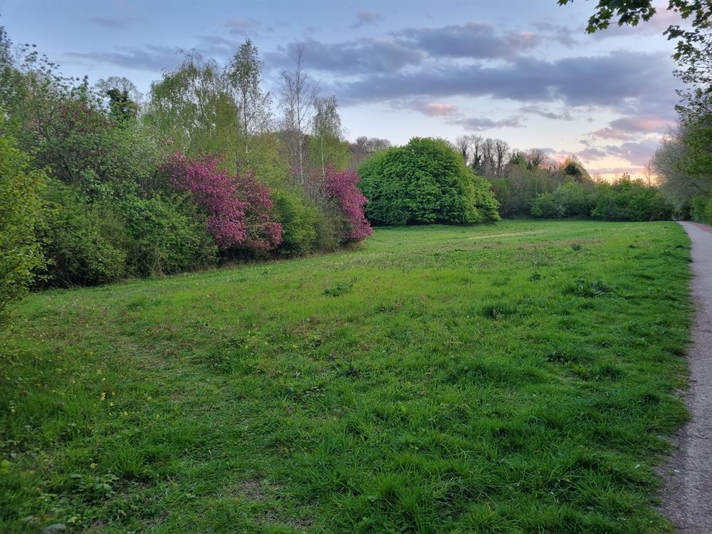 Bar End Meadows Winchester
