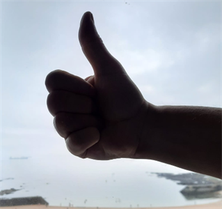 thumbsup.png