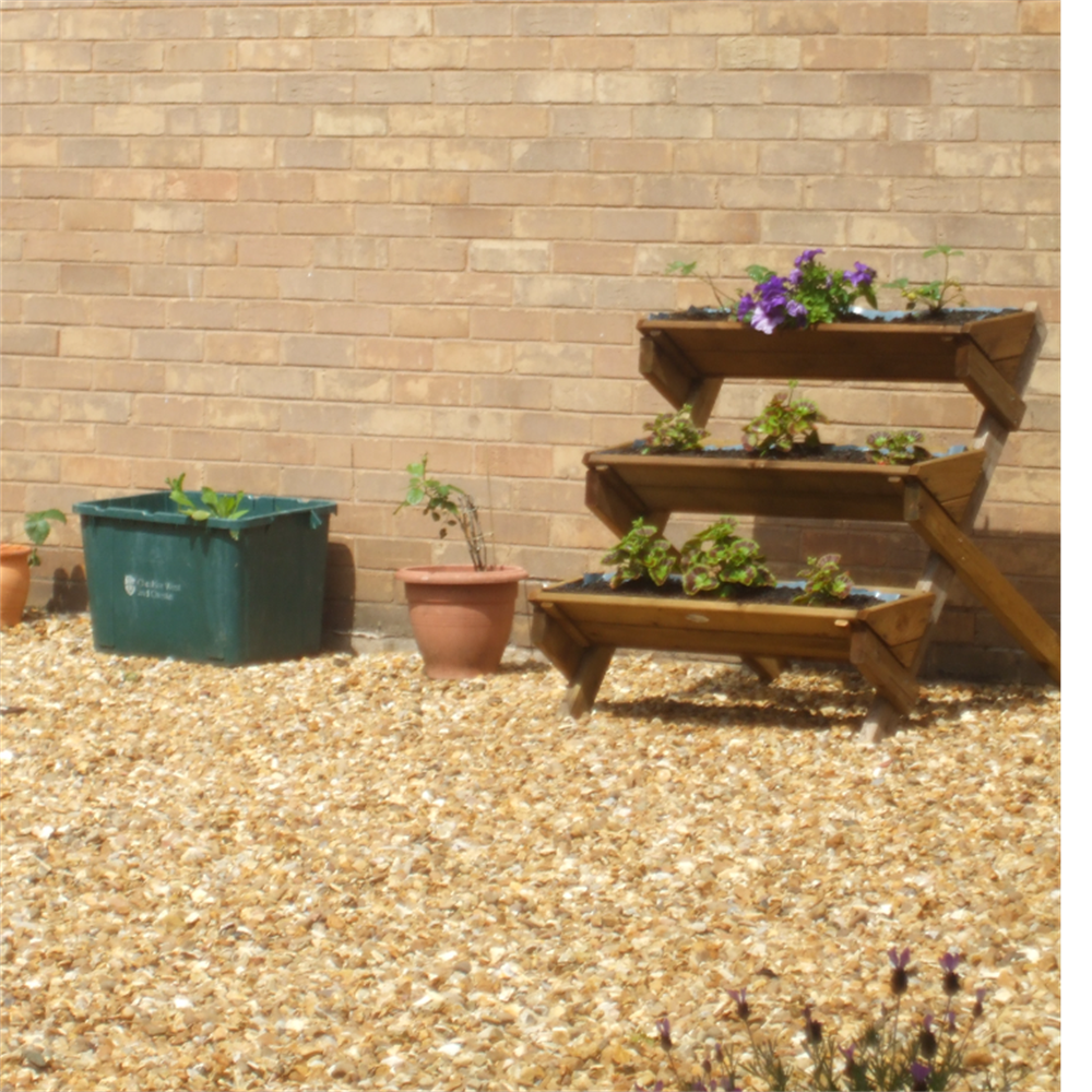Lache Garden Group
