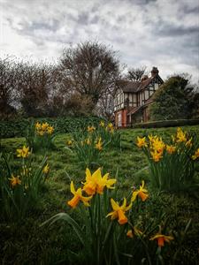 roker-park-from-forp.jpg