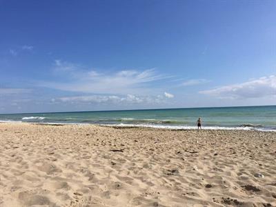 max-et-la-mer.jpg