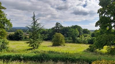 view-down-the-bottom-field-including-cedar.jpg