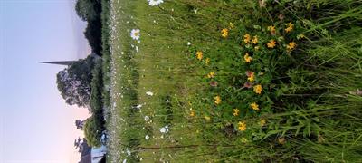 img-20230528-204409.jpg