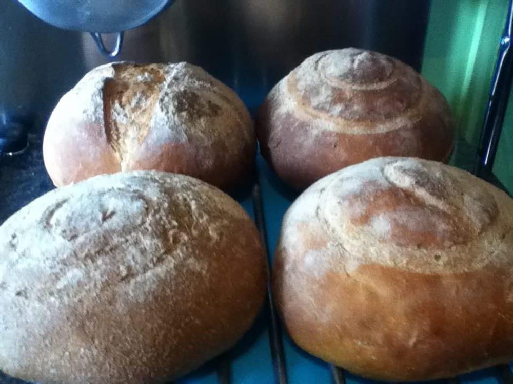 Help raise dough for our bread oven