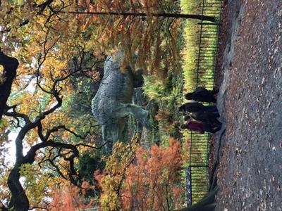 meg-autumn-2018.jpg