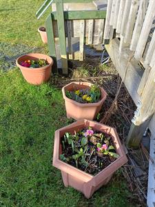 img-20230206102310.jpg