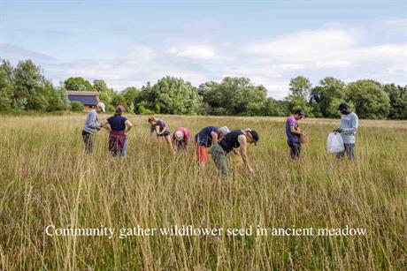Community-led meadow creation in W Oxon