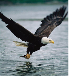 pcqKC1fluG 1?8pLkiD8j