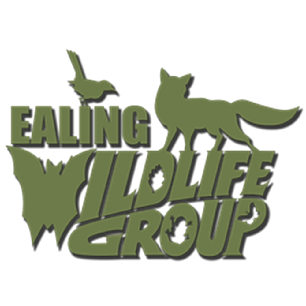 Ealing Wildlife Group