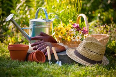 dreamstime-xl-36560448.jpg