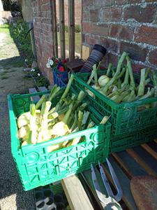 img-20220802-164120-236.jpg