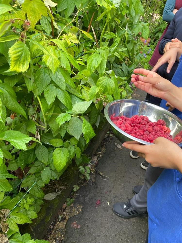 A.P.P.L.E's Kitchen Hub