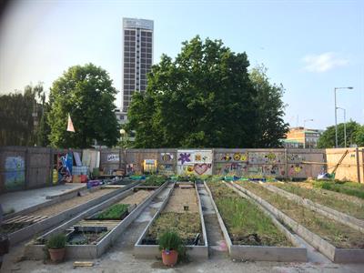 img-5552.jpg