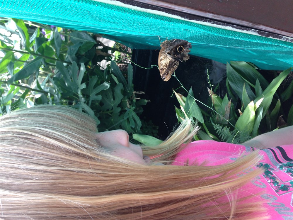 Butterfly House Victoria Park