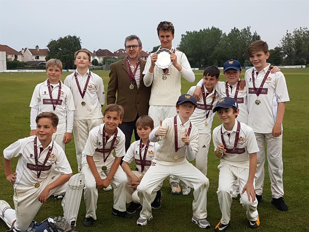 Help Long Ashton Cricket Club!