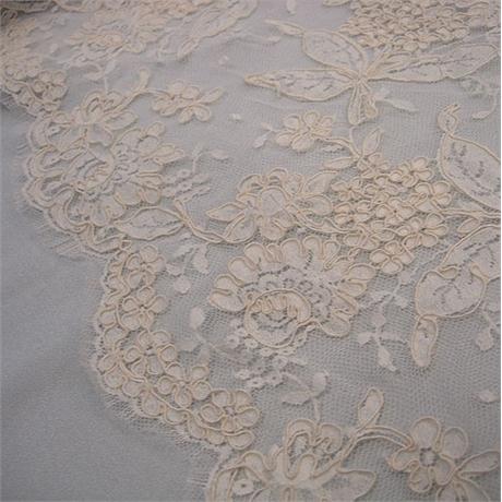 Corded French Lace Image 1