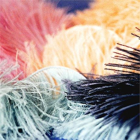 Fine Ostrich Feather Fringe Image 1