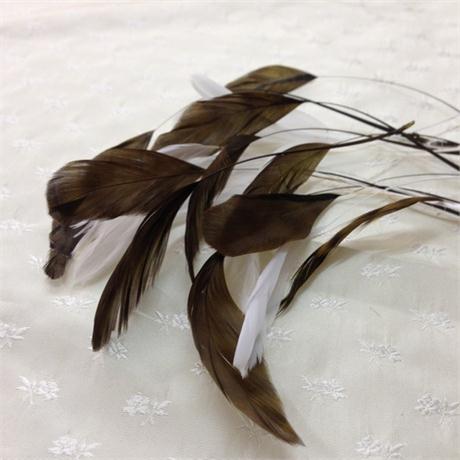 Coque Feathers Image 1