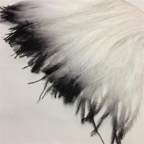 Two-Colour Ostrich Fringe Image 1