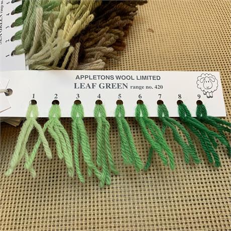 Appletons 4-ply Tapestry Wool Skein Leaf Green - 10m Image 1