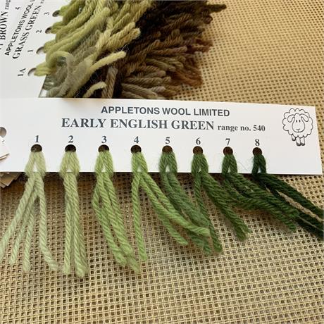 Appletons 4-ply Tapestry Wool Skein Early nglish Green - 10m Image 1