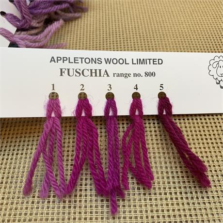 Appletons 4-ply Tapestry Wool Skein Fuschia - 10m Image 1