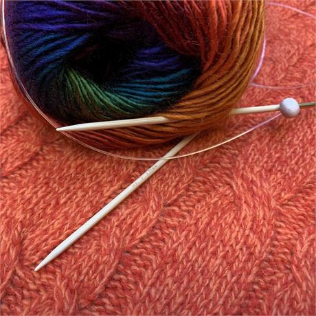 SeeKnit Shirotake 2.75mm Bamboo Flexi Single Pointed Needles Image 1