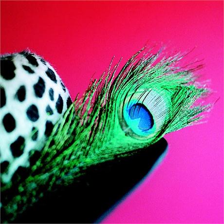Small Peacock Eye Feather Image 1