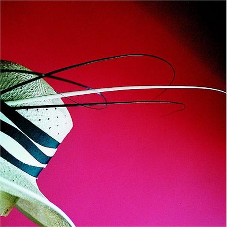 Plain Quill Image 1