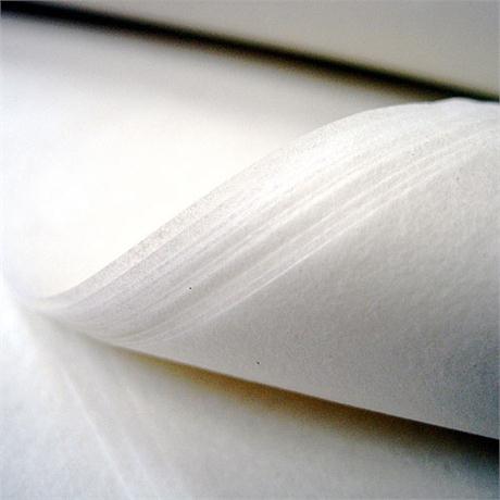 Tissue Paper Image 1