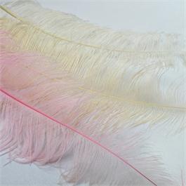 Medium Ostrich Feather Thumbnail Image 0