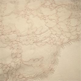 Metallic Chantilly Lace Thumbnail Image 2