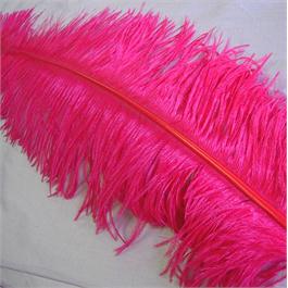 Medium Ostrich Feather Thumbnail Image 2