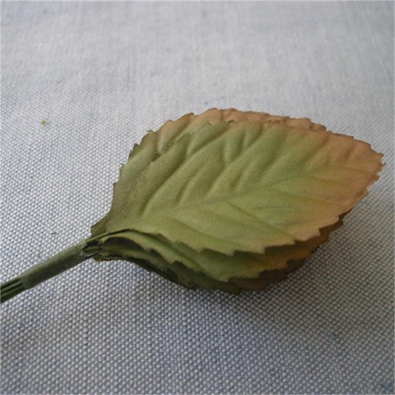 Dried Rose Leaf Bunch
