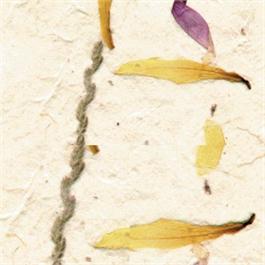 Handmade Narish Flower Paper 51x76cm 50gsm thumbnail