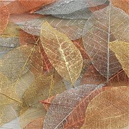 Skeleton Leaves 40 Pack - Metallic Colours thumbnail