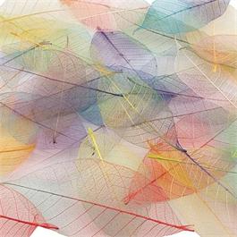 Skeleton Leaves 40 Pack - Two Tone Colours thumbnail