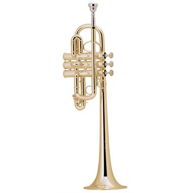 Coppergate/Gear4music DTP-500 (E flat/D) [16081] thumbnail