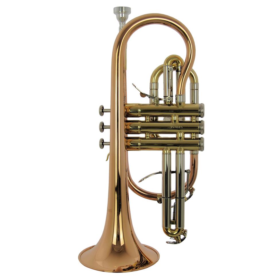 Catelinet Cadet CCR14T B-flat cornet (lacquer)