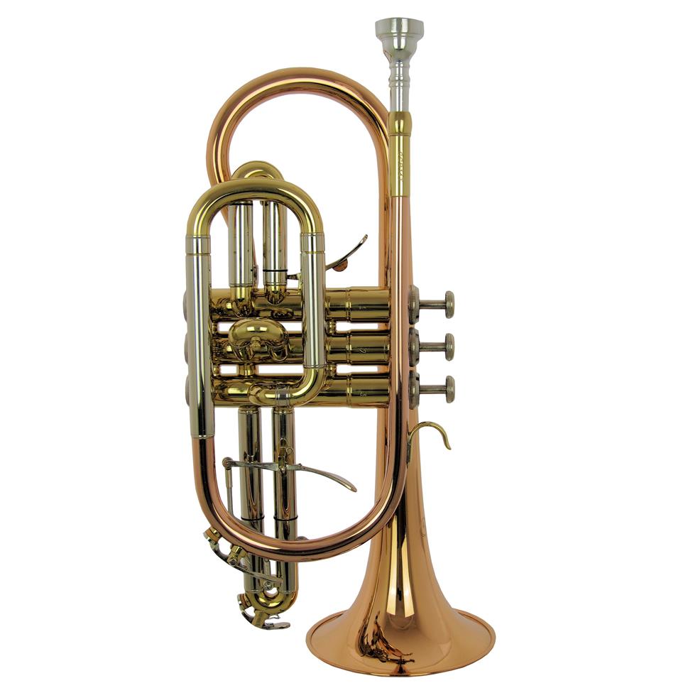 Catelinet Cadet CCR14T B-flat cornet (lacquer)
