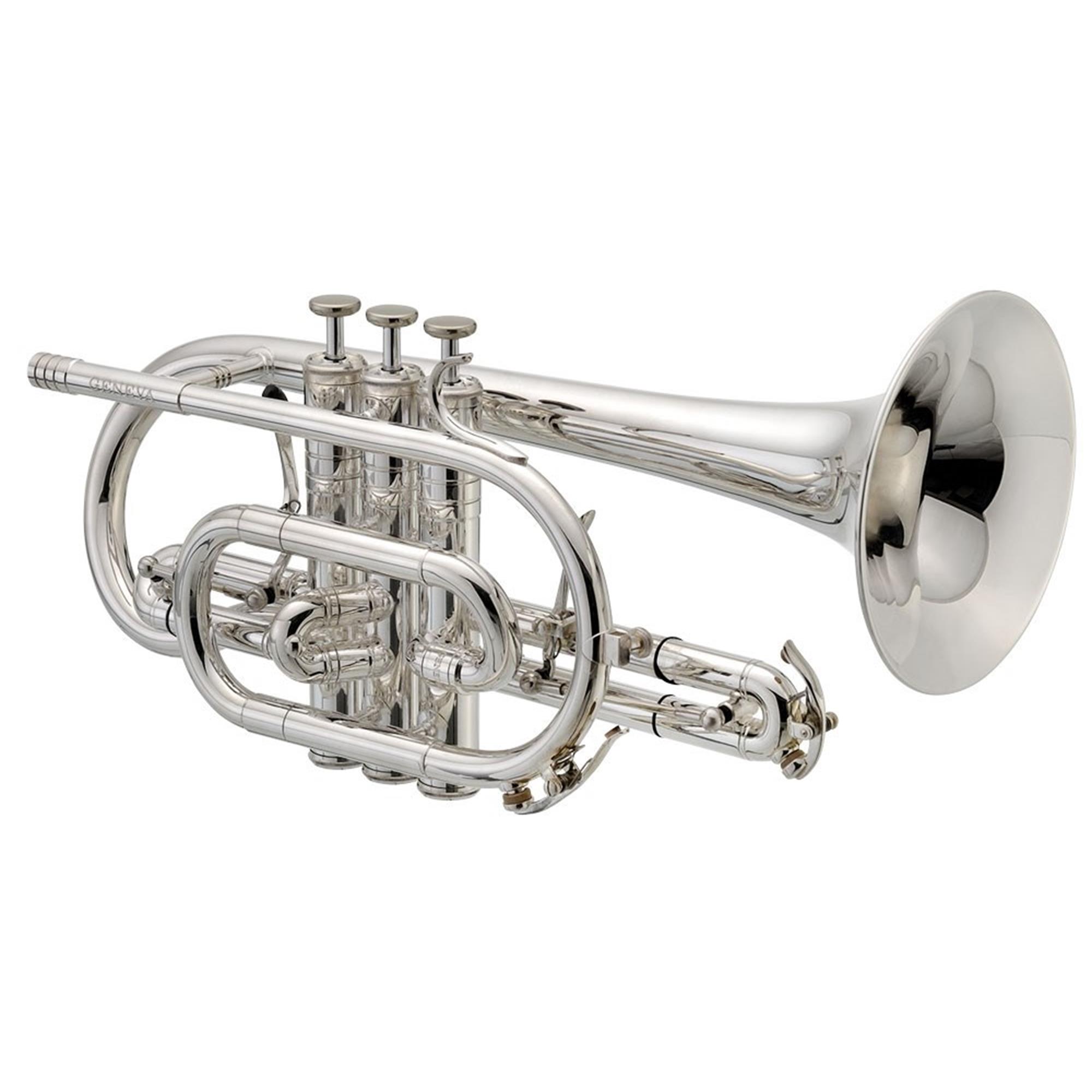 Geneva Mentor (silver) Rosehill Instruments