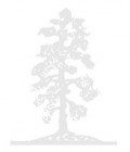 Southern & Darwent logo