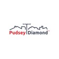 Pudsey Diamond Engineering Ltd logo