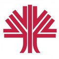 International Decorative Surfaces logo