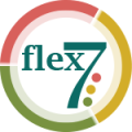 Flex7 Ltd logo