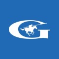 Guardian Glass logo