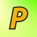 Playdale Playgrounds Ltd  logo